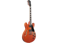 Ibanez AS73-TTF Ibanez AS73-TTF
